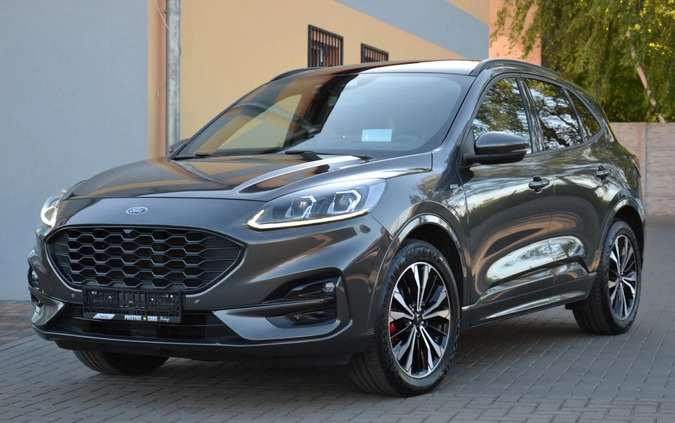 Ford Kuga cena 79900 przebieg: 257400, rok produkcji 2020 z Lubsko małe 781